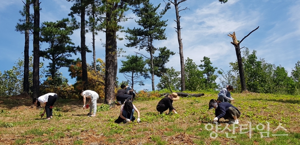 새로 단장한 오영수 선생 묘소ⓒ양산타임스