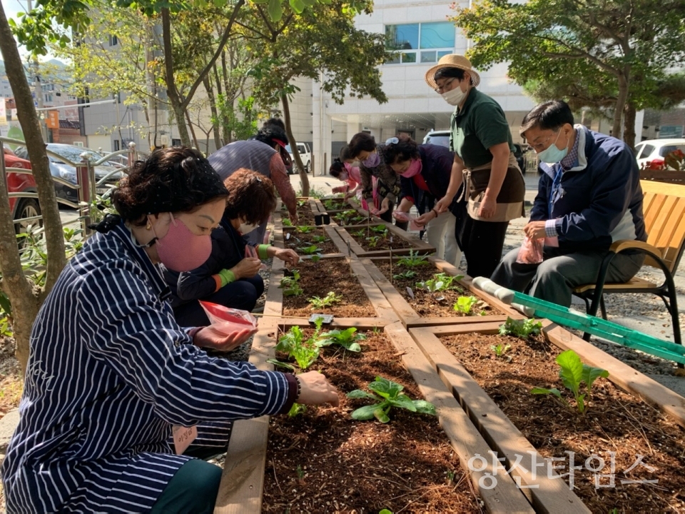 건강한 실버세대 위한 치유프로그램ⓒ양산타임스