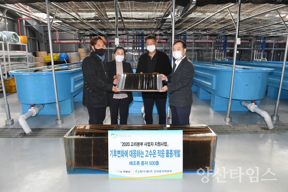 11월 3일 기후변화에 대응하는 고수온 적응 품종개발 해조류 종자 500틀 전달식ⓒ양산타임스