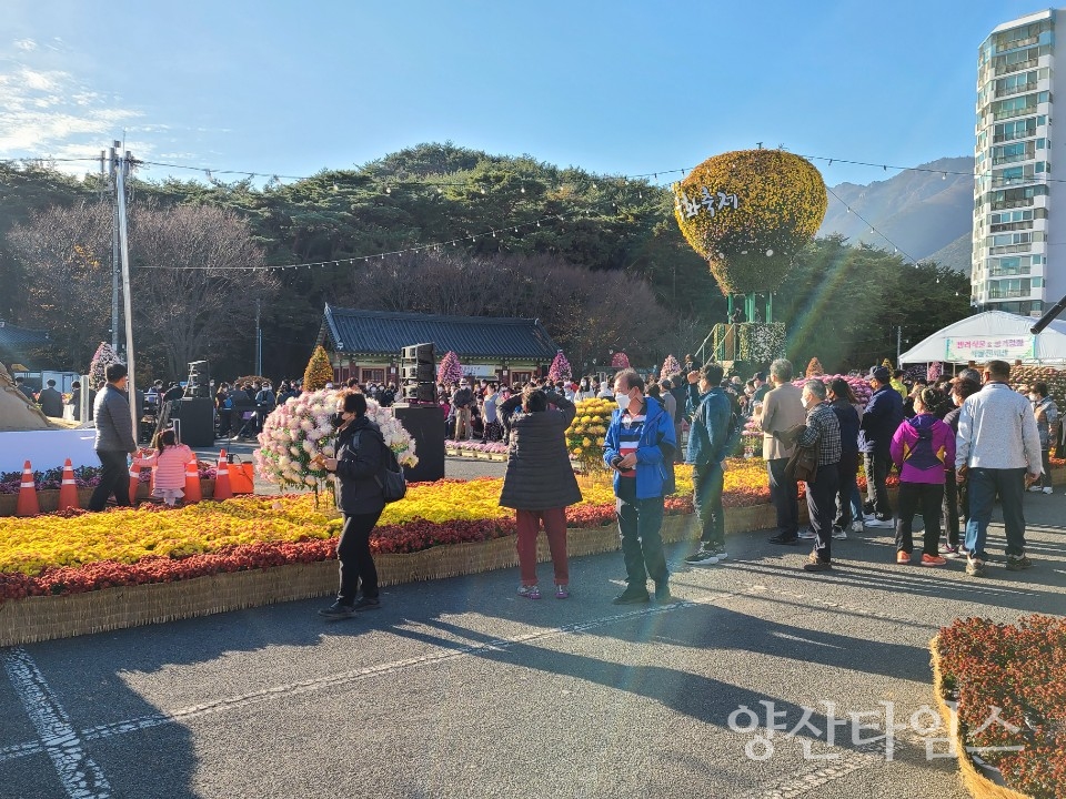 2020양산국화전시 ⓒ양산타임스