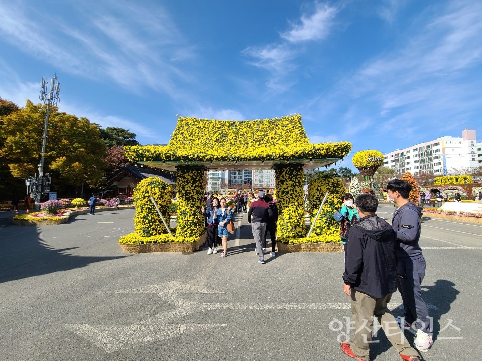 2020양산국화전시 ⓒ양산타임스