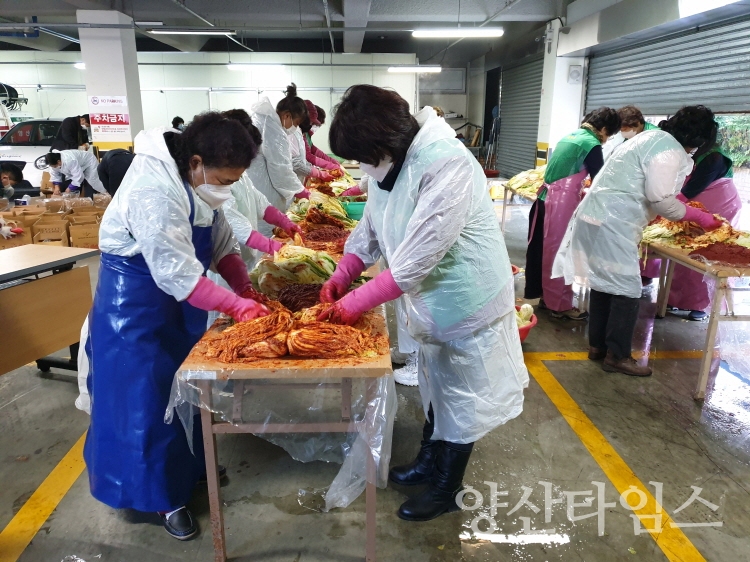 물금읍 새마을 사랑의 김장 나눔 ⓒ양산타임스