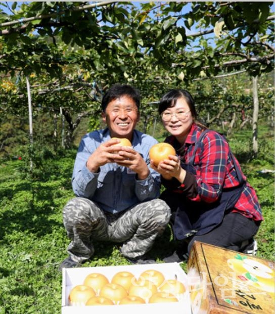 과일대전수상 ⓒ양산타임스