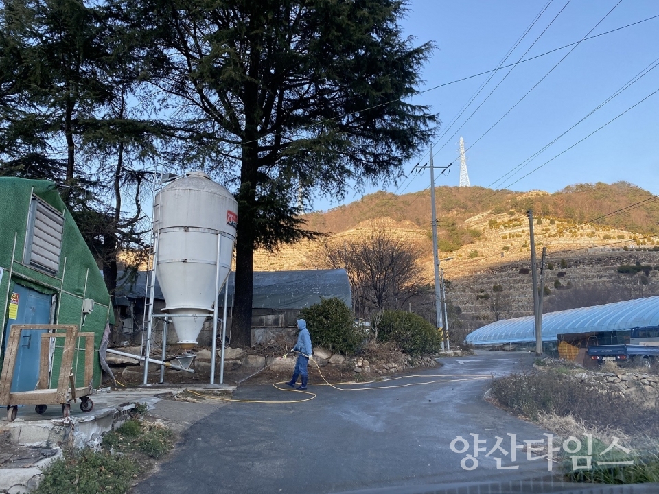 고병원성 AI 차단방역ⓒ양산타임스