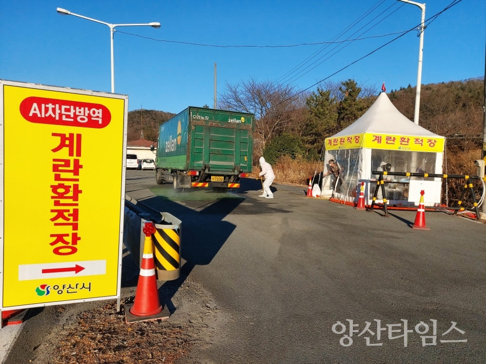 AI 차단 계란환적장 설치ⓒ양산타임스