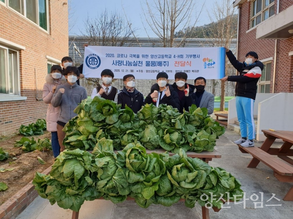 양산고4-H회 배추 기부ⓒ양산타임스
