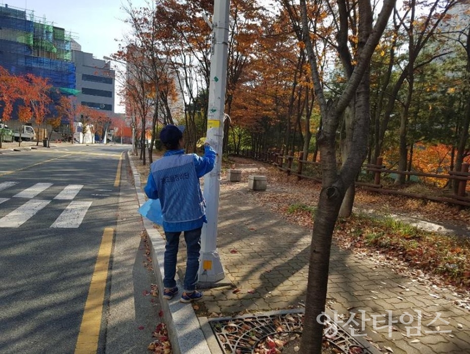 정관읍 도로변 불법광고물 철거 모습 ⓒ양산타임스