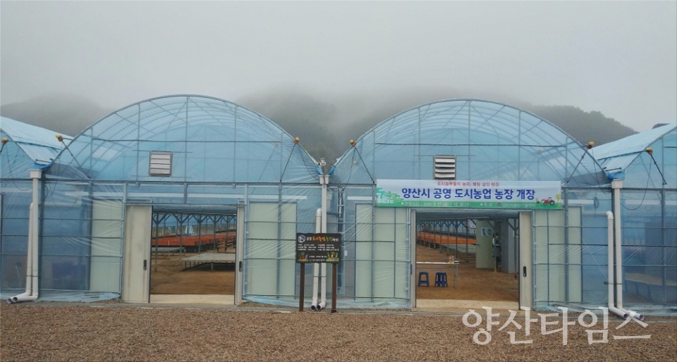 지난해 개장한 공영도시농업 농장 ⓒ양산타임스