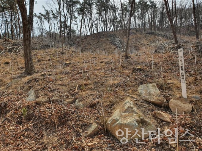 조림사업 현장ⓒ양산타임스