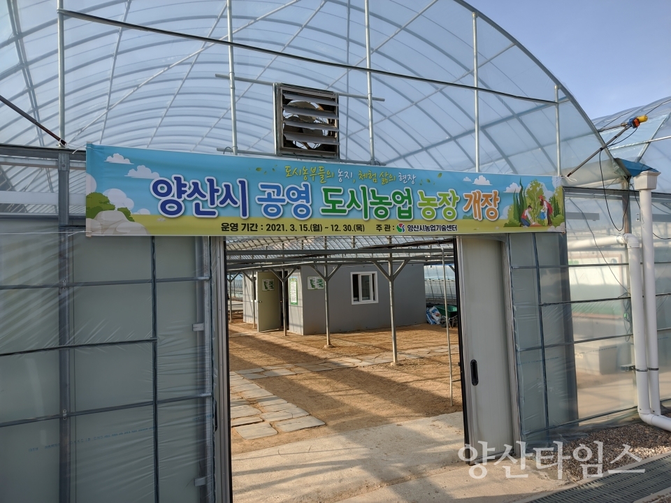 공영도시농업농장 개장 ⓒ양산타임스
