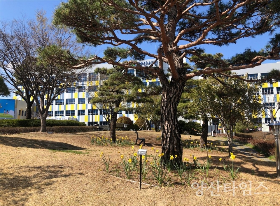 도심 야생화단지 조성ⓒ양산타임스