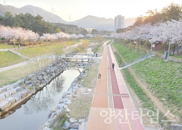 기장군 좌광천 전경 ⓒ양산타임스