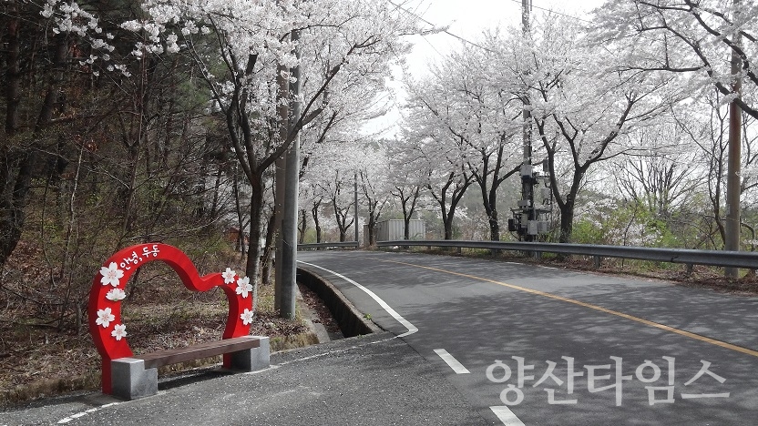 두동 벗꽃길 조형물 설치 ⓒ양산타임스