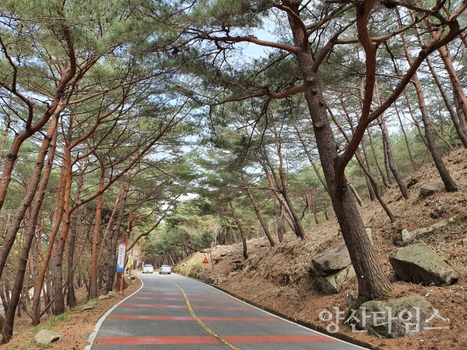ⓒ양산타임스
