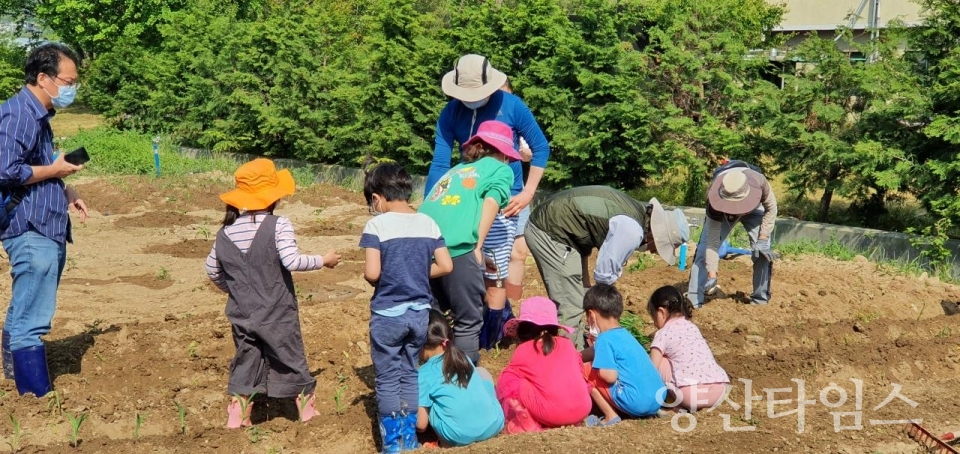 원동면 화제마을 친환경 텃밭 활동ⓒ양산타임스