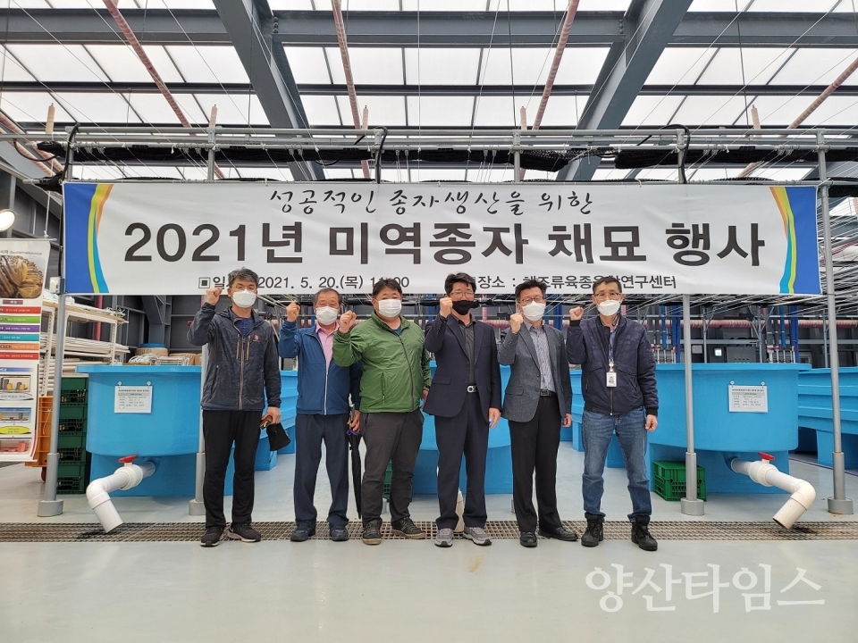 기장군 2021년 기장 미역종자 채묘 행사 ⓒ양산타임스