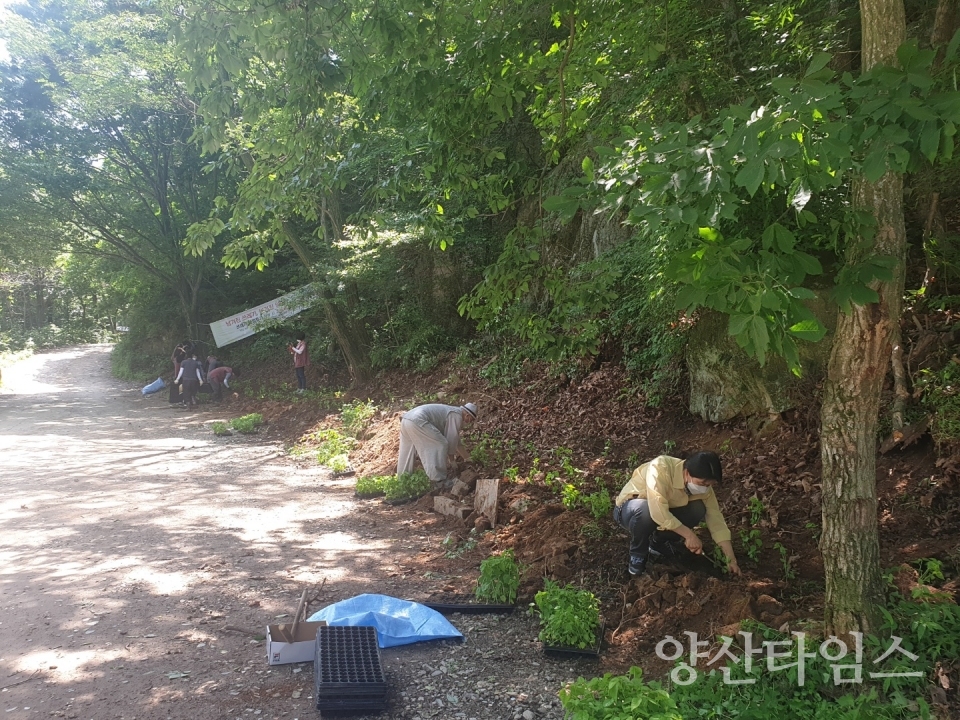 서창동 시명길 산책로 조성 ⓒ양산타임스