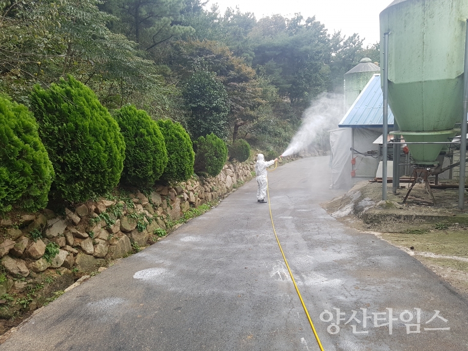 철저한 차단방역_철새도래지 소독ⓒ양산타임스