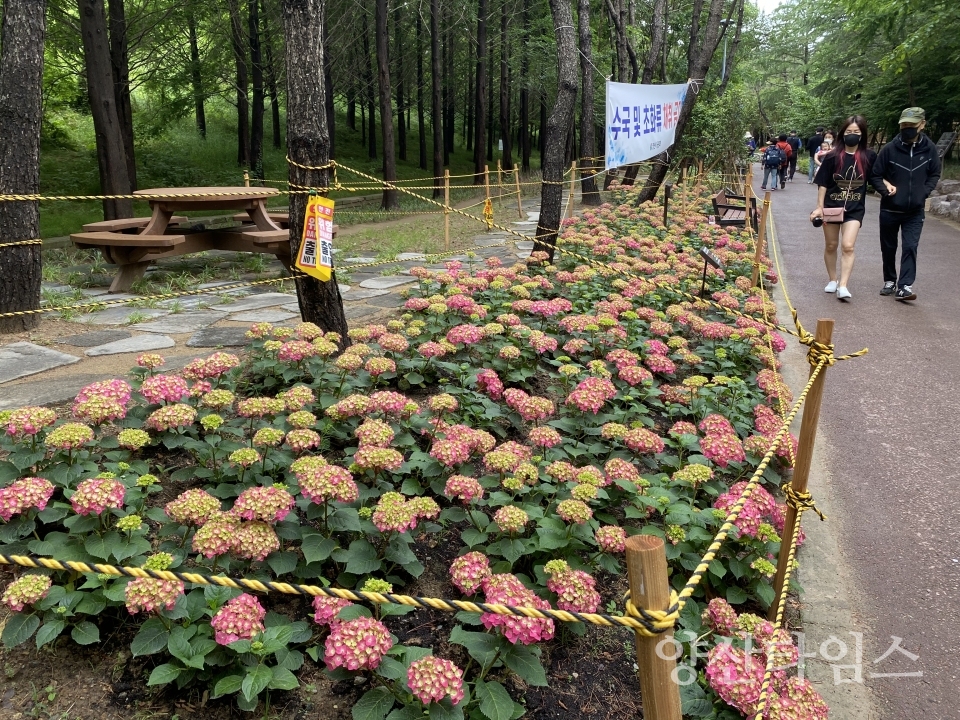 양주누리길 환경개선사업ⓒ양산타임스