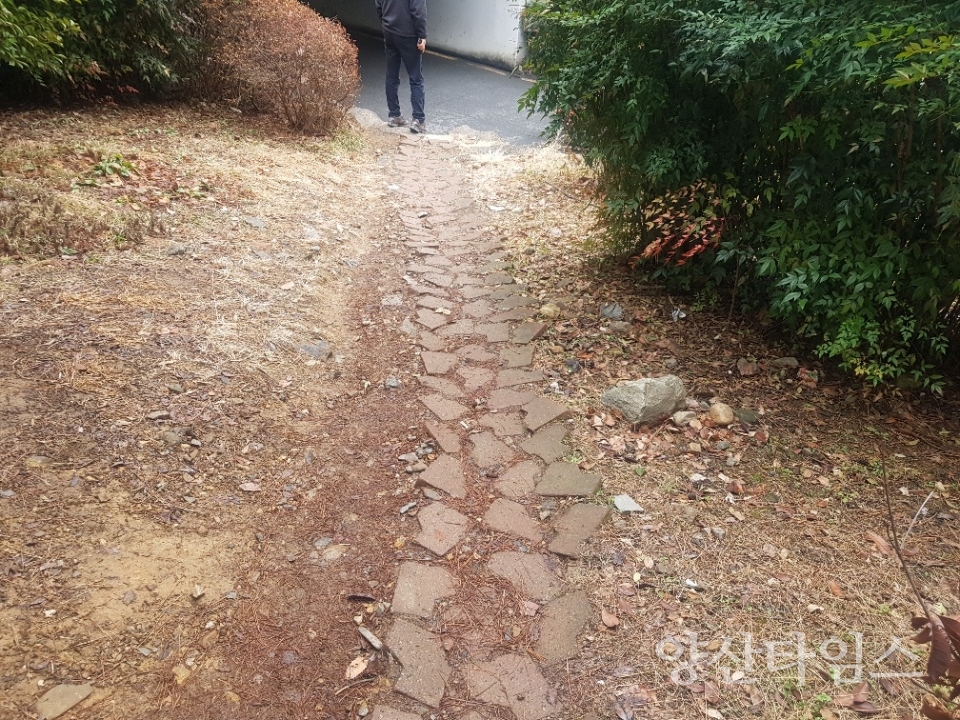 남구 경계구간 완충녹지 진입로 정비 완료ⓒ양산타임스