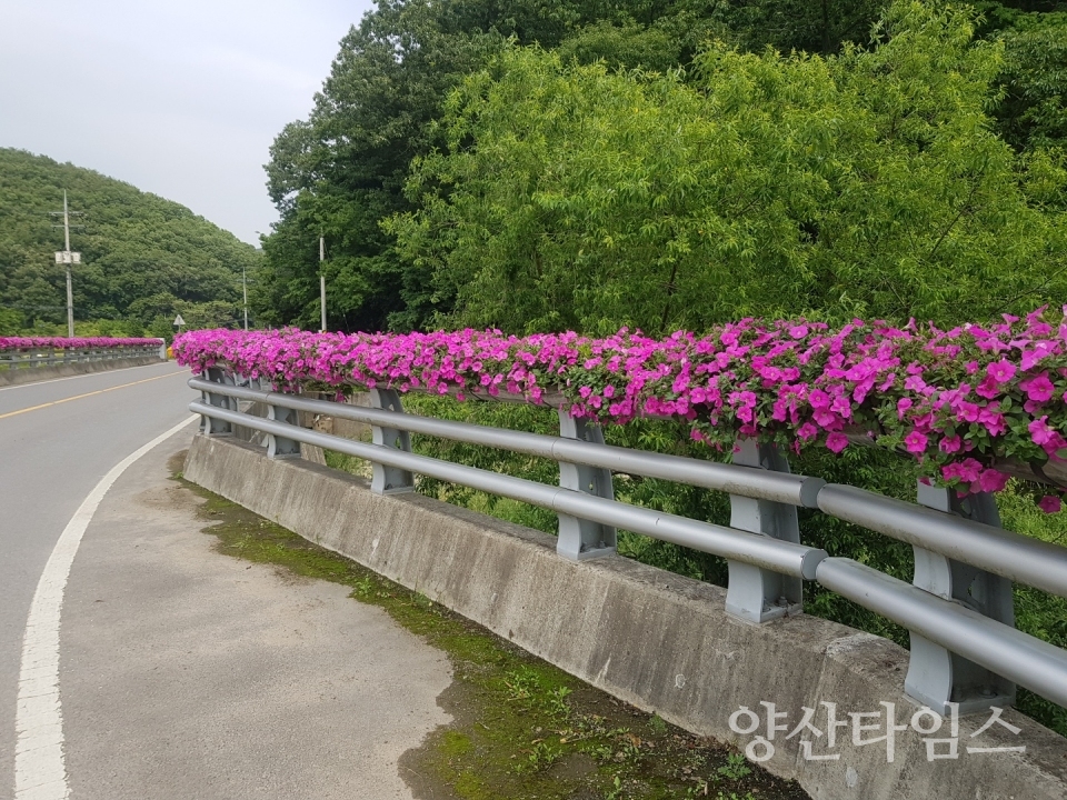 도심갤러리_각석1교 ⓒ양산타임스