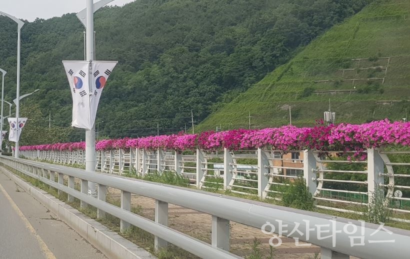 도심갤러리_자전교 ⓒ양산타임스