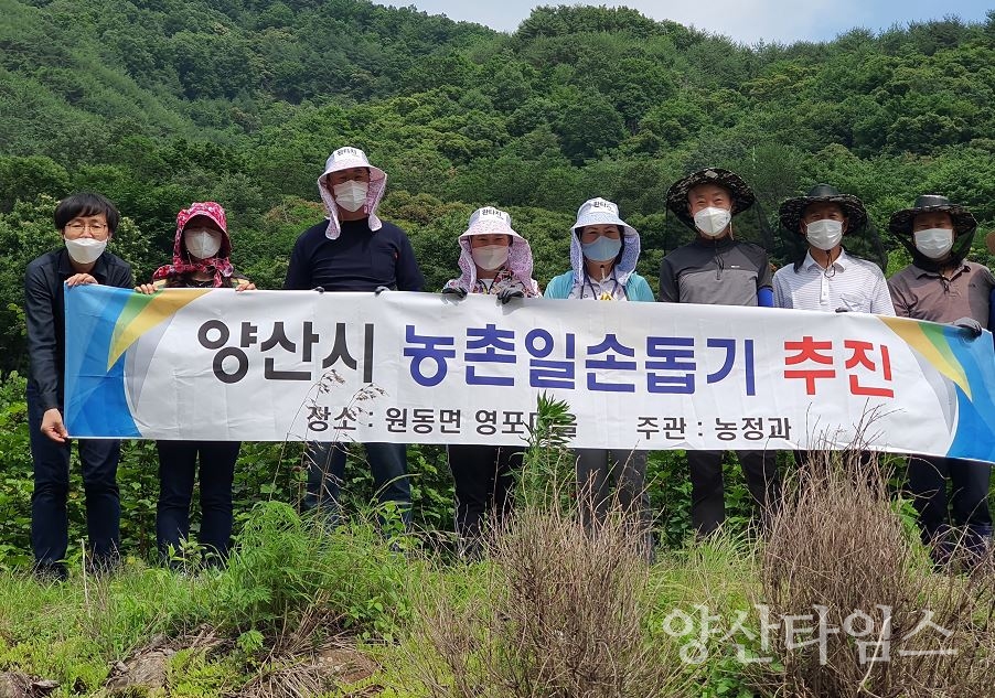 농정과 농촌일손돕기 ⓒ양산타임스