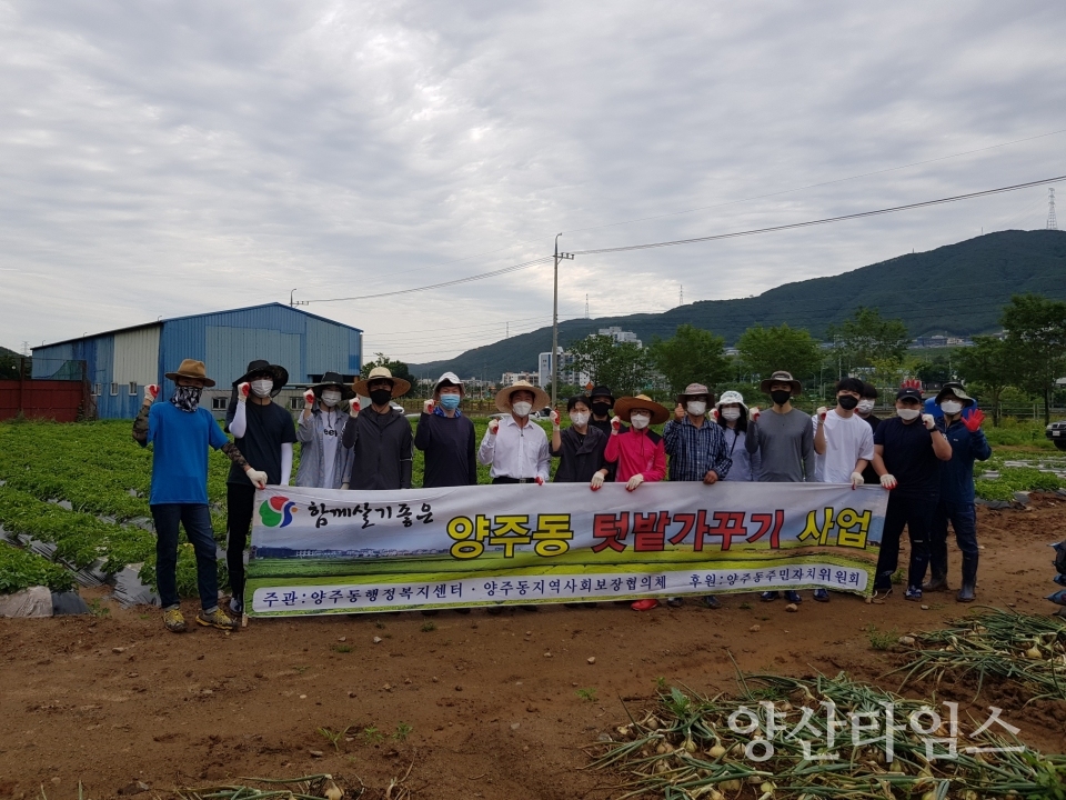 양주동 나눔텃밭 도 중소벤처기업과 봉사 참여 ⓒ양산타임스