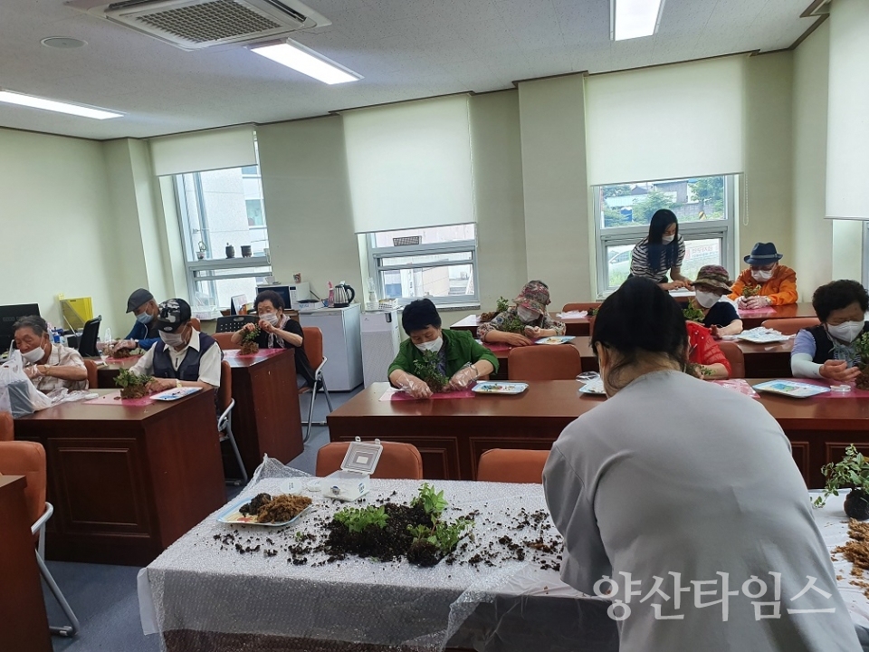 평산동 돌봄 어르신 토피어리 수업ⓒ양산타임스