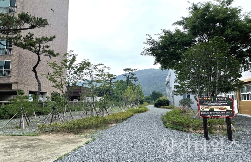 ⓒ양산타임스