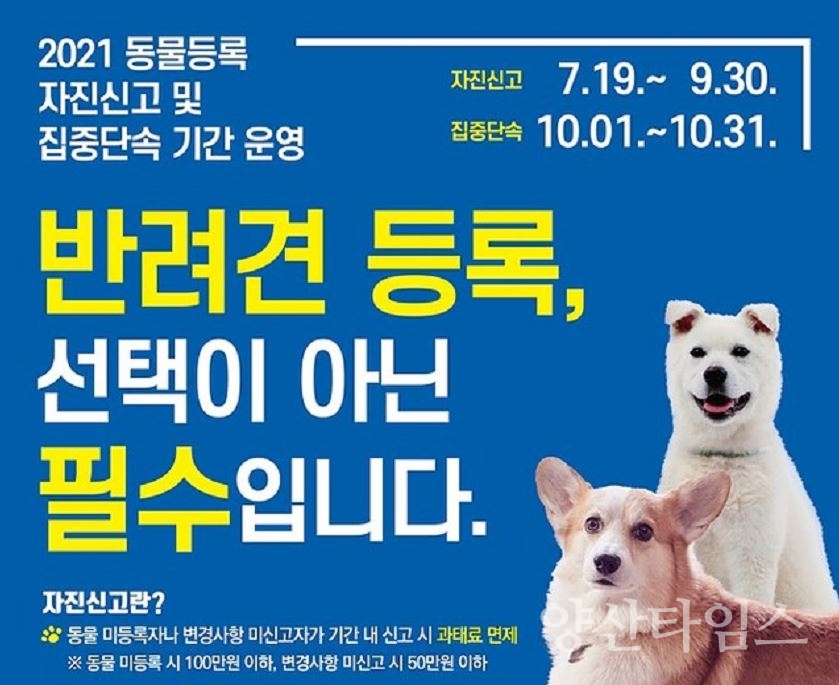 반려동물 등록ⓒ양산타임스