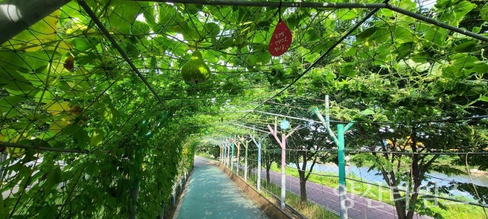 호박터널ⓒ양산타임스