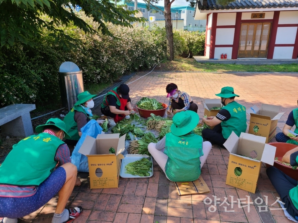 서창동 사랑의 열무물김치 담그기ⓒ양산타임스