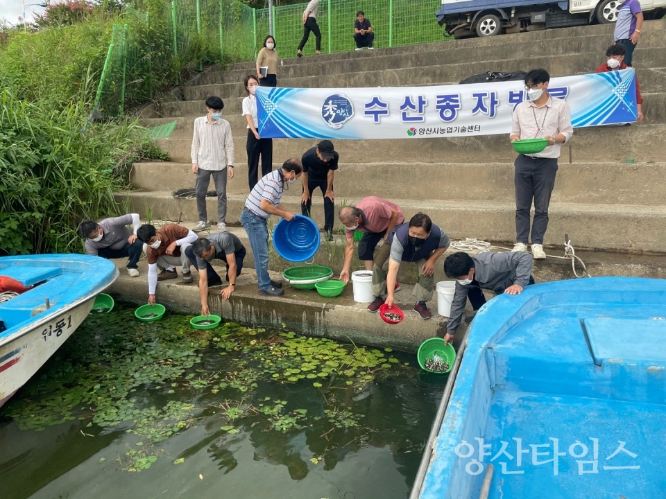 수산종자 방류ⓒ양산타임스