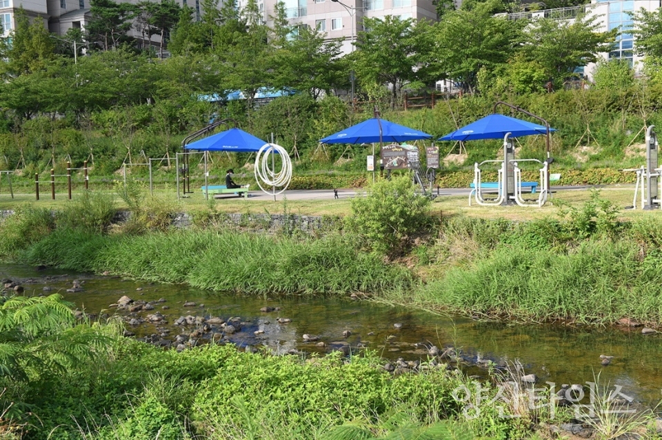 기장군 정관읍 좌광천에 설치된 대형그늘막ⓒ양산타임스
