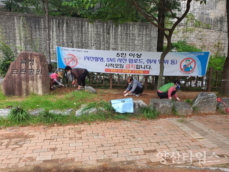 북정근린공원 꽃무릇 심기ⓒ양산타임스
