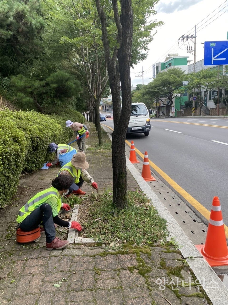 중앙동 추석맞이 도로변 환경정비ⓒ양산타임스