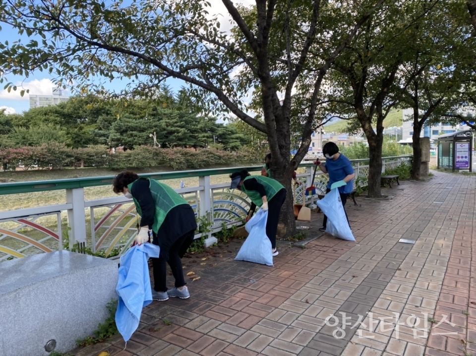 중앙동 새마을부녀회 국토대청결ⓒ양산타임스