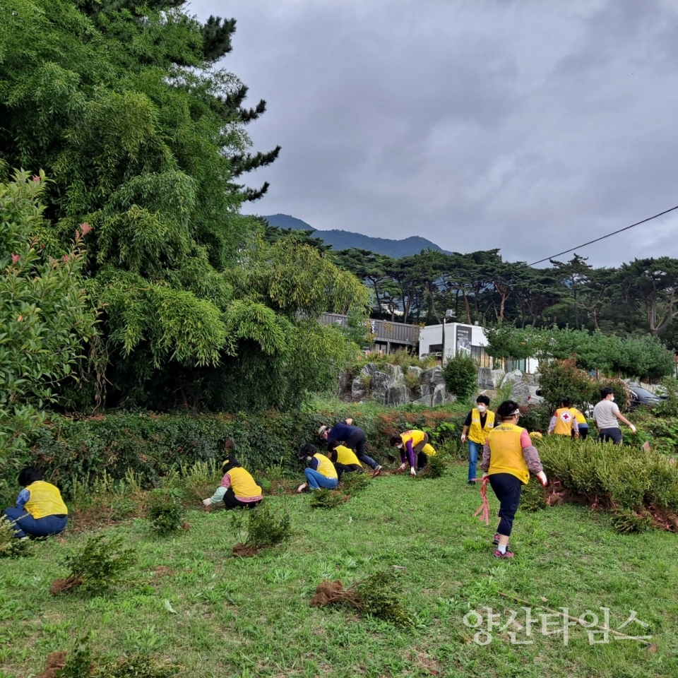 공한지 나무 식재(가촌마을)ⓒ양산타임스