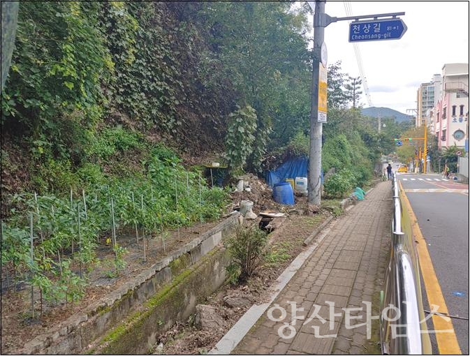 천상초등학교 보도확장 구간ⓒ양산타임스