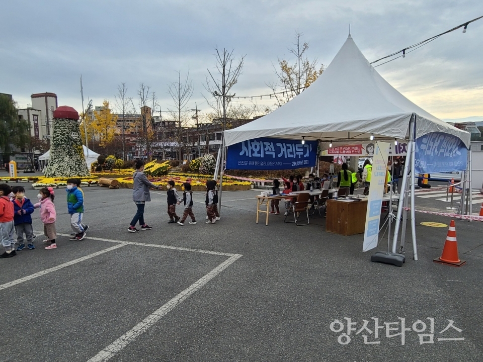 지난해 국화전시 모습ⓒ양산타임스