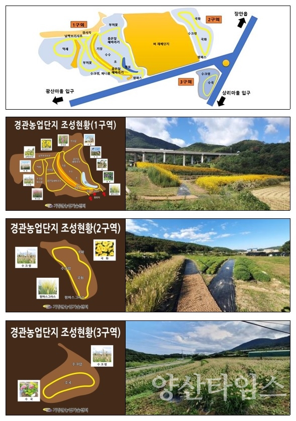 기장군 경관농업단지 조성현황ⓒ양산타임스