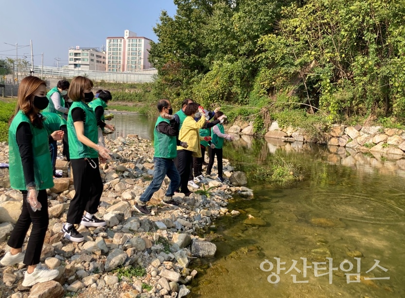 삼성동새마을 하천 환경정화ⓒ양산타임스