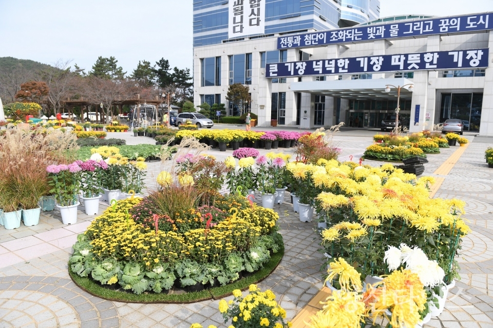 "제5회 기장 국화분재 전시회 (기장군청 앞 야외광장)" "제5회 기장 국화분재 전시회 (기장군청 1층 로비)" ⓒ양산타임스