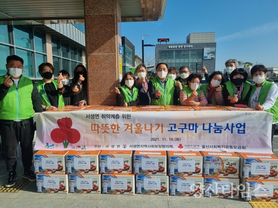 서생고구마ⓒ양산타임스