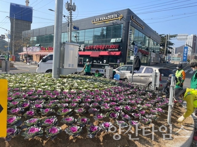 기장군 일광면 ‘겨울철 초화 식재 및 환경정비’ 행사 실시ⓒ양산타임스