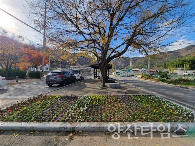 강서동 꽃길 조성ⓒ양산타임스