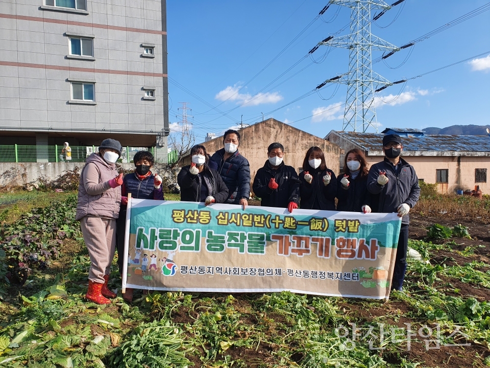 평산동 십시일반 텃밭 수확ⓒ양산타임스