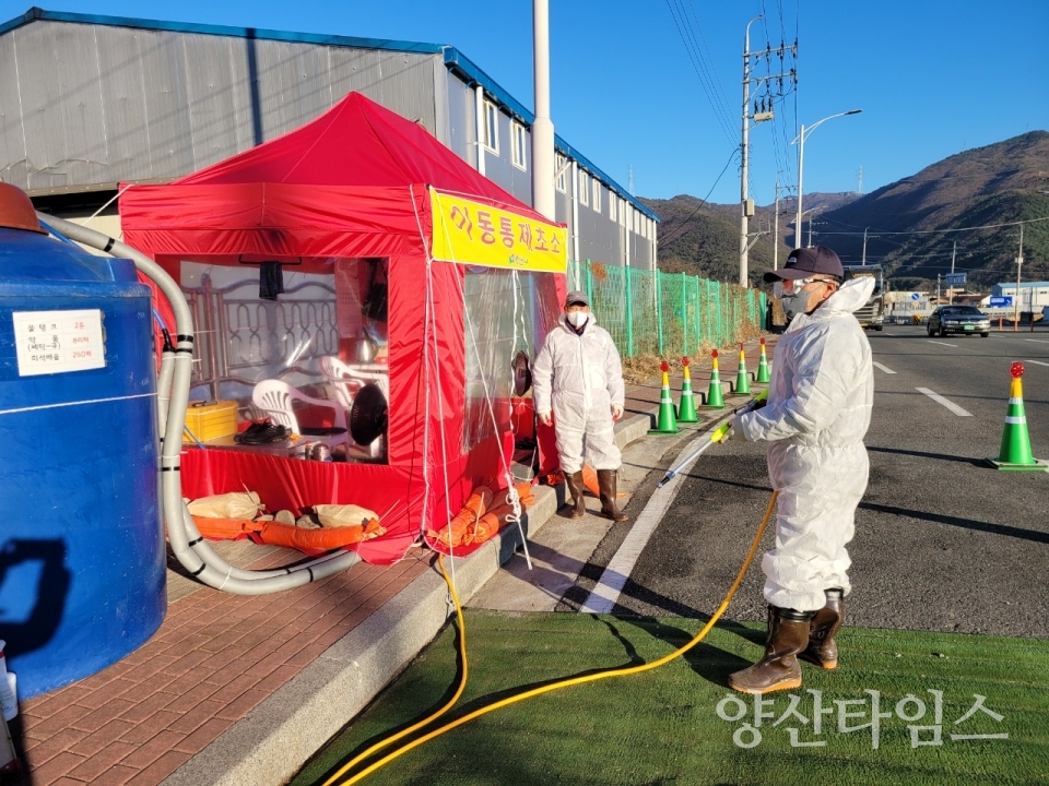 고병원성 AI 차단방역ⓒ양산타임스