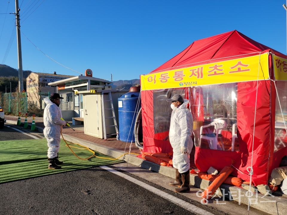 고병원성 AI 차단방역ⓒ양산타임스